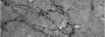 12.jpg (2004 bytes)